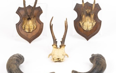 Three sets of roe deer antlers, including (2) engraved souvenir antlers mounted on shield shaped
