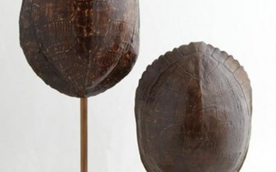Two Louisiana Turtle Shells, one on an iron and spelter