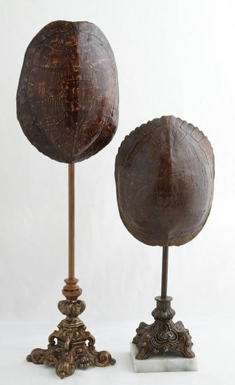Two Louisiana Turtle Shells, one on an iron and spelter