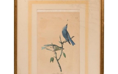 Two Ornithology Lithographs by John James Audubon