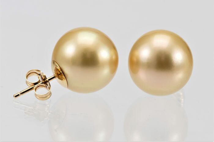 x14mm Round Golden South Sea Pearls - 14 kt. Yellow
