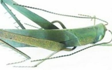 Verdigris Metal Grasshopper