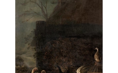 ATTRIBU GIORGIO DURANTI (1683-1768) PAON ET VOLATILES Toile Restaurations anciennes...