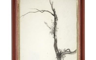 DANIEL GARBER (american 1880-1958) "STUDY FOR THE TREE IN...