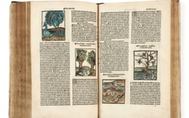 [Johannes von CUBA, attribué à] XVe-XVIe siècle Le Jardin de santé