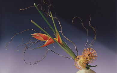 ROBERT MAPPLETHORPE (1946-1989), Flower Arrangement, 1988
