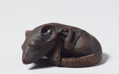 Rat couché sur sa queue / A rat reclining on its tail. Yann Christophe Lemaire. 2006