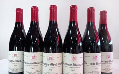 6 bouteilles de Chassagne Montrachet Rouge... - Lot 14 - Enchères Maisons-Laffitte