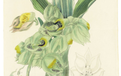 HOOKER, William Jackson, Sir (1785-1865). Exotic Flora. Edinburgh: William Blackwood, 1823-1827.
