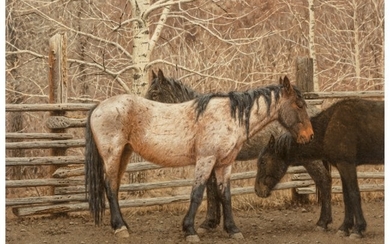 76014: Tucker Smith (American, b. 1940) Horse in Paddoc