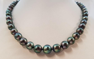 8x11mm Shimmering Peacock Tahitian pearls - 925 Silver