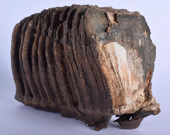 A LARGE EARLY MAMMOTH TOOTH SCHOLARS ROCK. 20 cm x 16