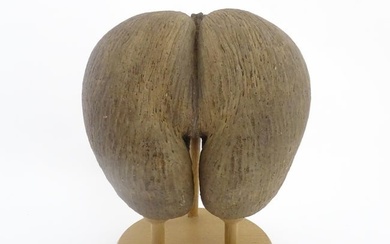 A large unpolished coco de mer nut. Together with a turned wooden stand. Nut approx. 11 3/4" high