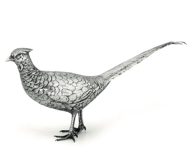 A silver pheasant, Italt (?), 1900s