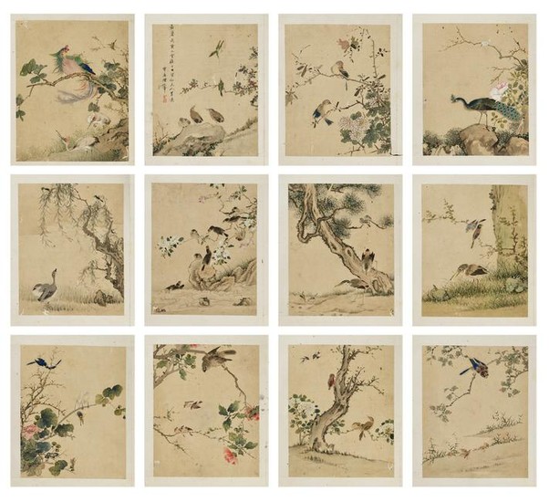 ALBUM WITH 12 BIRD STUDIES BY CHEN YUANZHANG, QING