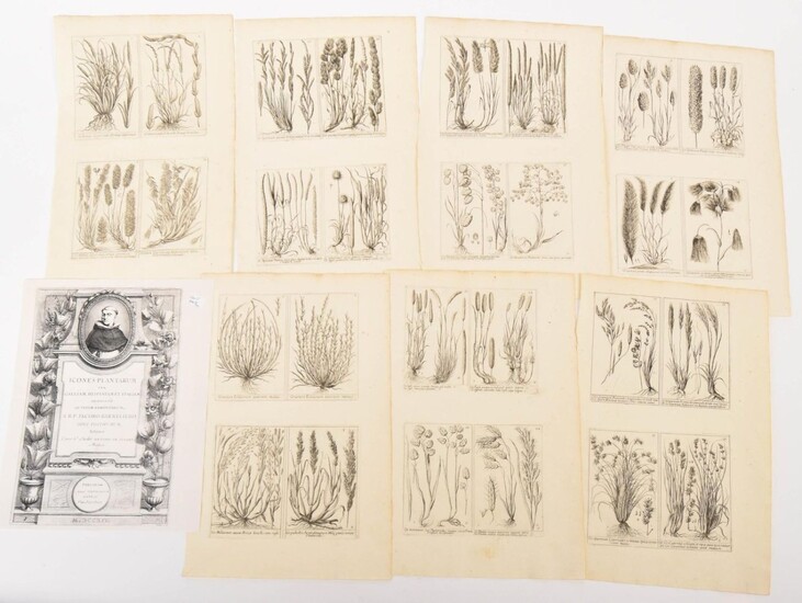 Barrelier Jacques, Six Botanical Book Plates.