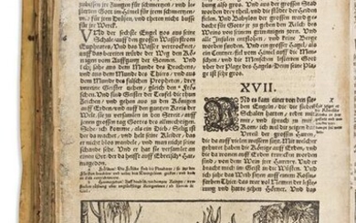 Bible, German, trans. Martin Luther (1483-1546) Biblia