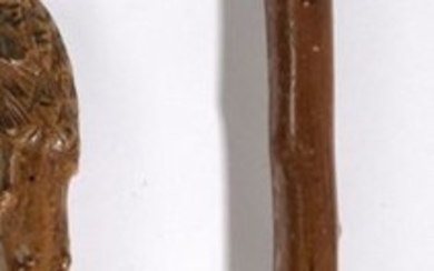 Cane made of fruit-bearing wood with a handle...