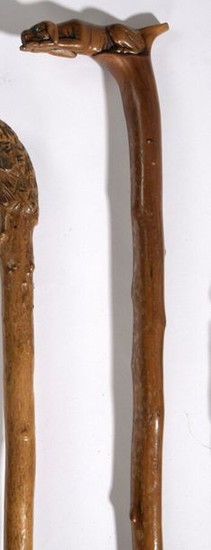 Cane made of fruit-bearing wood with a handle...