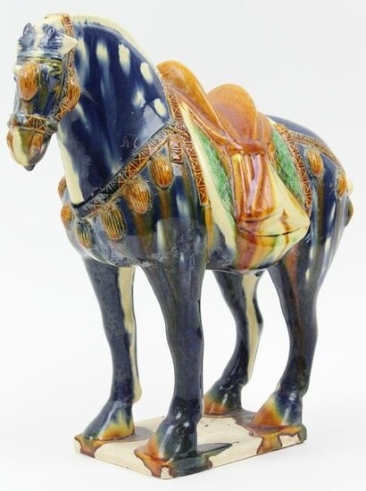 Chinese Tang Dynasty Terra Cotta Horse