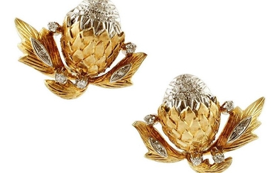 Diamonds and 18k White and Yellow Gold Earrings