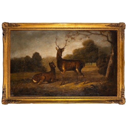 English School 19th Century- Stag and doe in a clearing,:- o...