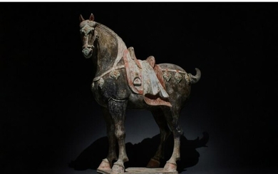 HUGE CHINESE TANG DYNASTY TERRACOTTA HORSE - TL TESTED