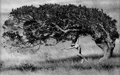 Marco Glaviano Ashley Dancing With Tree, 1984
