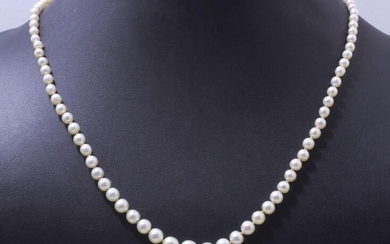 Necklace made of a drop of cultured pearls of about 2.8 to 7.6 mm, decorated with a 750 thousandths gold ratchet olive clasp with safety chain. Circa 1920/30.