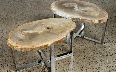 PAIR PETRIFIED WOOD END TABLES ON CHROME BASES