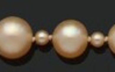 «PERLES FINES» Collier de 77 perles supposées... - Lot 14 - Aguttes