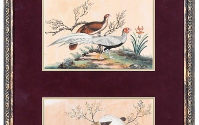 Pair of Chinese Pith Paintings in Frame