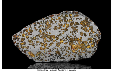 Seymchan Meteorite Slice Pallasite, PMG Magadanskaya Oblast, Russia -...