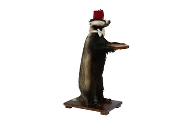 TAXIDERMY: A BADGER (MELES MELES) WAITER WEARING A FEZ AND A BOW TIE
