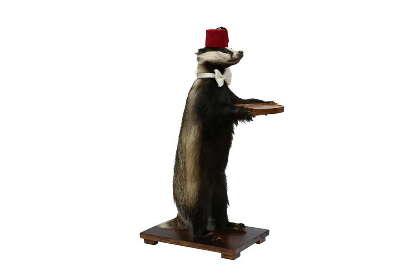 TAXIDERMY: A BADGER (MELES MELES) WAITER WEARING A FEZ AND A BOW TIE