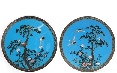 Unusually large pair of Japanese blue ground cloisonne charg...