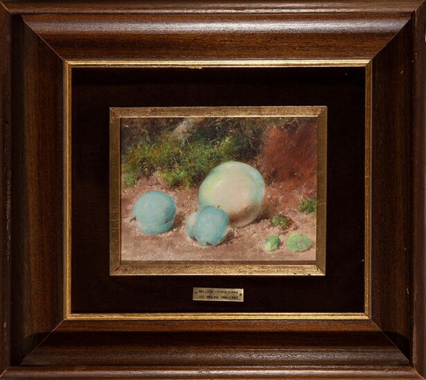 WILLIAM CRUICKSHANK (United Kingdom, 1848 - 1922) "Still Life with Three Plums" Watercolour. Measurements: 17 x 22 cm. Exit: 120uros. (19.966 Ptas.)