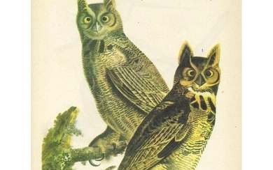 c1946 Audubon Print, #61 Great Horned Owl