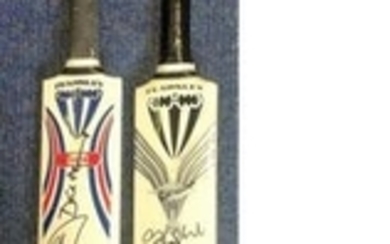 Cricket 2 full size Duncan Fearnley Bats signed by 19 county and international players while playing for Worcestershire and...
