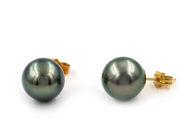18 kt. Tahitian pearl, Yellow gold - Earrings - 9.70mm