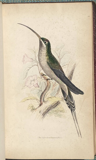 1840 Humming-birds large-paper copy of vol II Rare