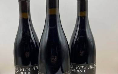 2021 Sandhi STA. Rita Hills Pinot Noir - Santa Barbara - 3 Bottles (0.75L)