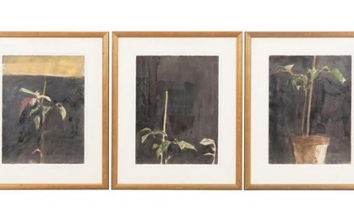 3 JEAN-PIERRE BOURQUIN "PLANT I, II, & III" M/M