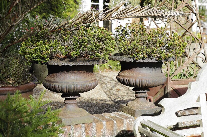 A pair of cast iron campana urns