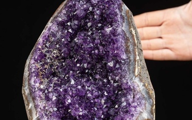 Amethyst Druzy - Deep Purple Color - First Choice Geode - Height: 213 mm - Width: 161 mm- 4155 g