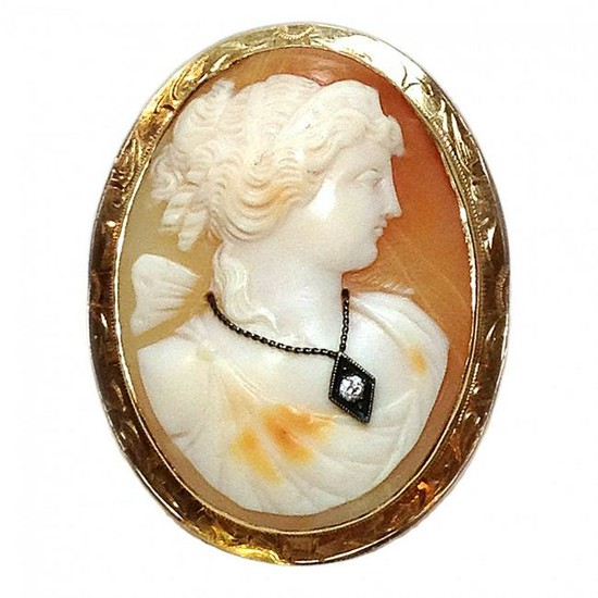 Antique Cameo Brooch with 14K Gold Frame