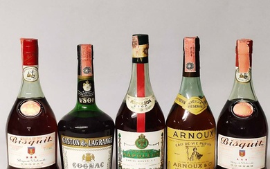 Bisquit, Gaston de Lagrange, Napoleon, Arnoux, Cognac