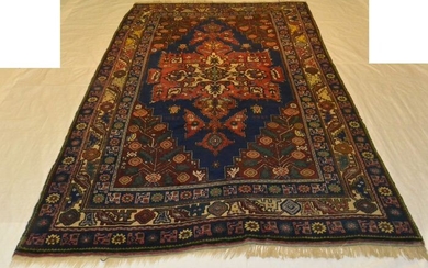Carpet - 260 cm - 168 cm