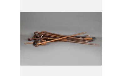 Collection of 18 walking Sticks