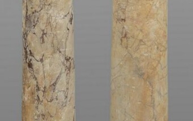 Due colonne di cui una in marmo paonazzo ed una